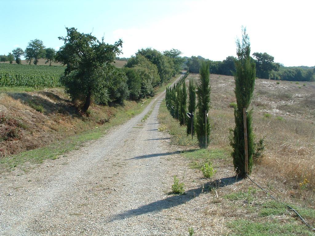 Podere Fingardella ξενώνας Paganico Εξωτερικό φωτογραφία