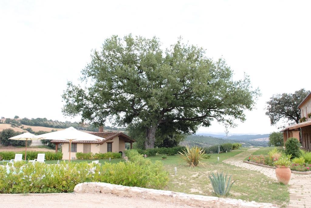 Podere Fingardella ξενώνας Paganico Εξωτερικό φωτογραφία